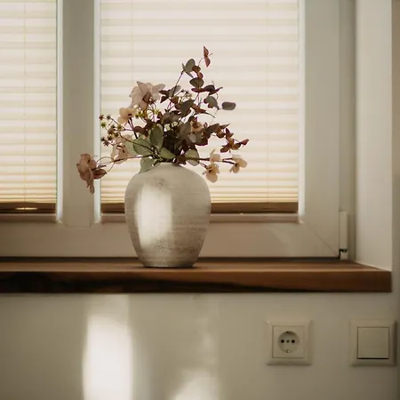 Medicus Appartement *